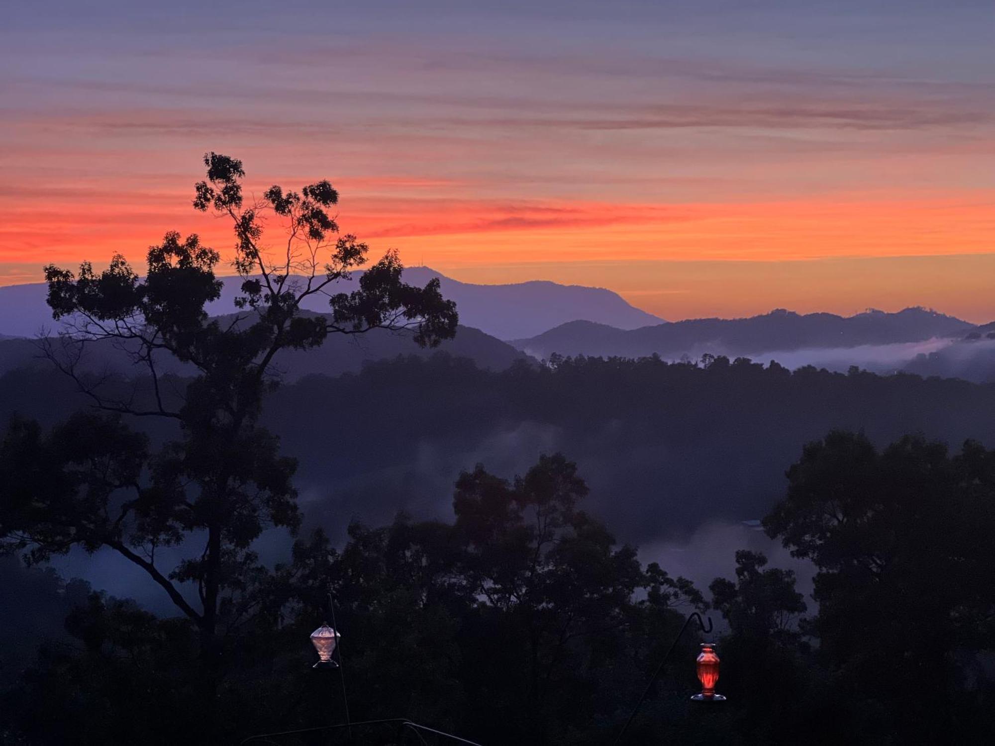 Smoky Best - Glowing Twilight Pigeon Forge Ngoại thất bức ảnh