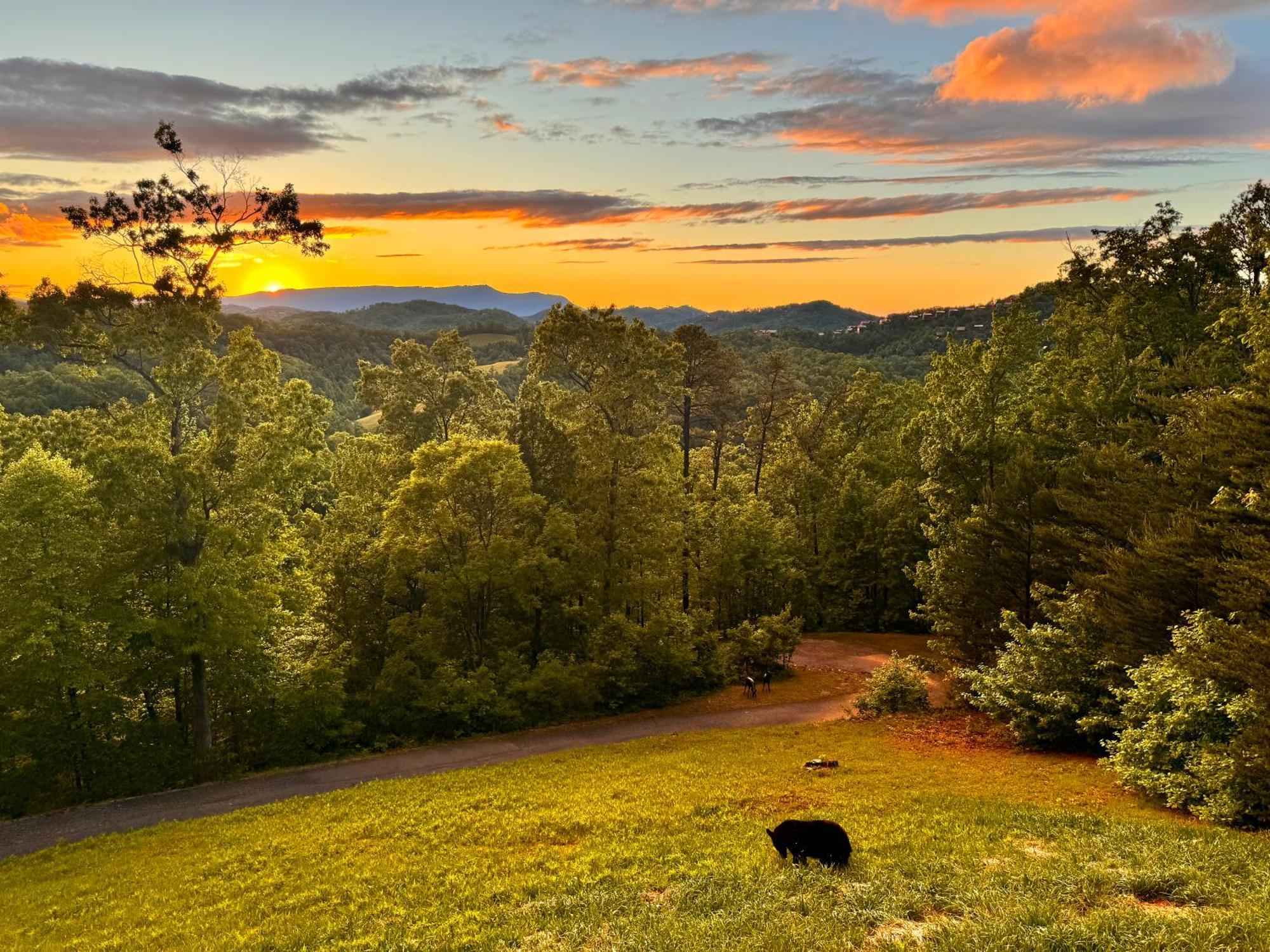 Smoky Best - Glowing Twilight Pigeon Forge Ngoại thất bức ảnh